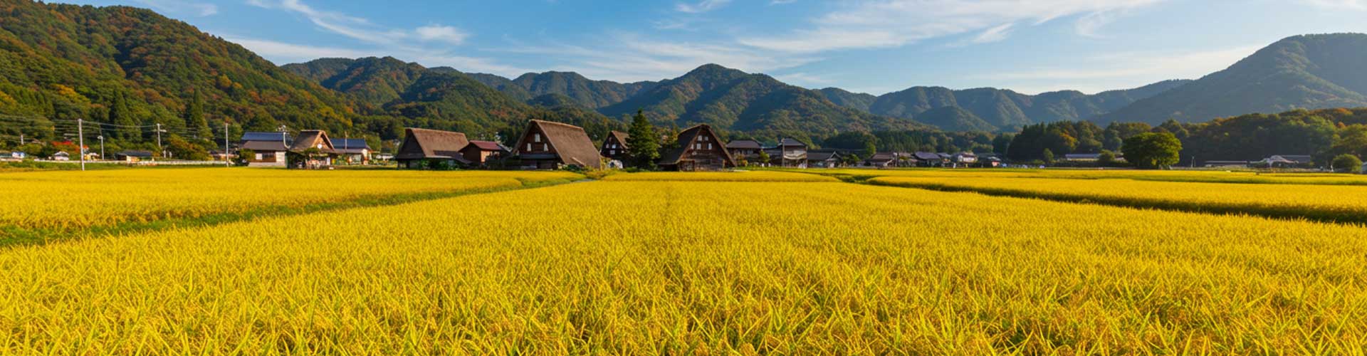 ポストハーベストのトータルサポート